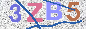 この文字を入力してください