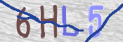 この文字を入力してください