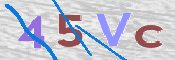 この文字を入力してください