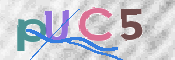 この文字を入力してください