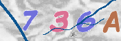 この文字を入力してください