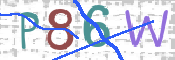 この文字を入力してください