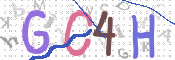 この文字を入力してください