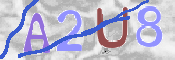 この文字を入力してください