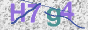 この文字を入力してください