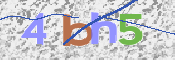 この文字を入力してください