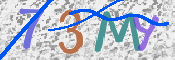 この文字を入力してください