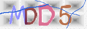 この文字を入力してください
