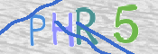 この文字を入力してください