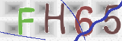 この文字を入力してください