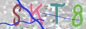 この文字を入力してください
