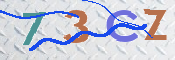 この文字を入力してください