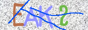 この文字を入力してください