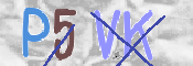 この文字を入力してください