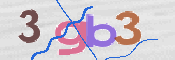 この文字を入力してください