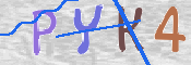 この文字を入力してください