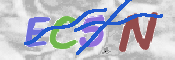 この文字を入力してください