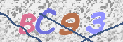この文字を入力してください