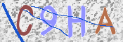 この文字を入力してください