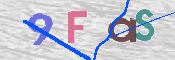 この文字を入力してください