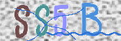 この文字を入力してください