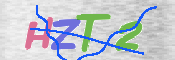この文字を入力してください