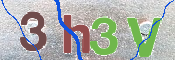 この文字を入力してください