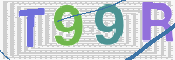 この文字を入力してください