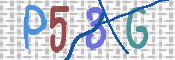 この文字を入力してください