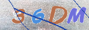 この文字を入力してください