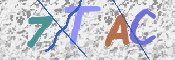 この文字を入力してください
