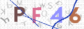 この文字を入力してください