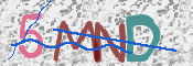 この文字を入力してください