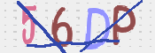 この文字を入力してください