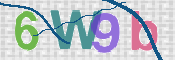 この文字を入力してください