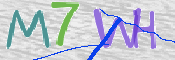 この文字を入力してください