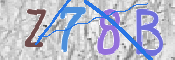 この文字を入力してください