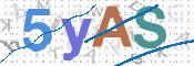 この文字を入力してください