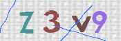 この文字を入力してください