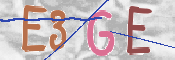この文字を入力してください