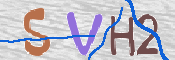 この文字を入力してください