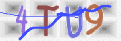 この文字を入力してください