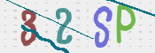 この文字を入力してください