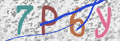 この文字を入力してください