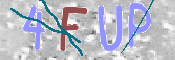 この文字を入力してください