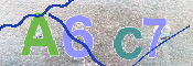 この文字を入力してください