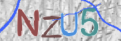 この文字を入力してください