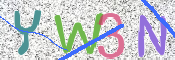 この文字を入力してください