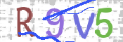 この文字を入力してください