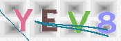 この文字を入力してください